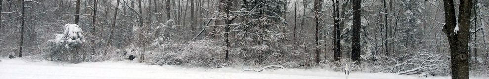 Protect Your Home From Ice Damming